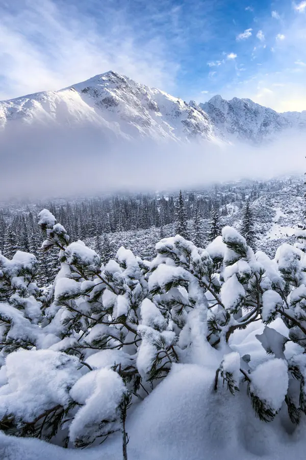 Lista exactă a lucrurilor pe care trebuie să le iei cu tine la munte iarna depinde, într-o anumită măsură, de scopul drumeției.
