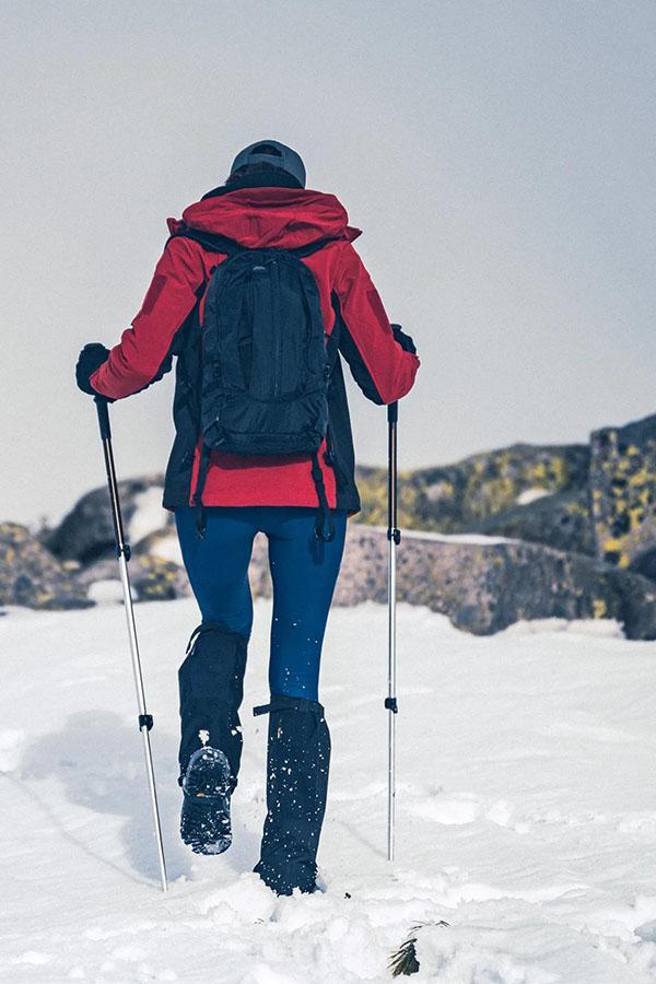 Plecac, bețe, parazăpezi