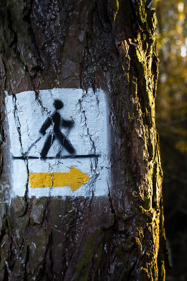 Pe terenurile de agrement din jurul orașelor apar tot mai multe trasee pregătite pentru pasionații de nordic walking.