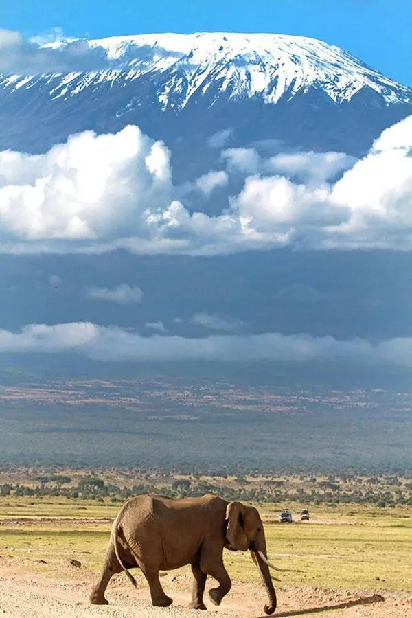 Savana încinsă de soare și vârful înzăpezit al Kilimanjaro la orizont. Nu e de mirare că pentru contemporanii lui Rebmann o asemenea imagine a părut absurdă.