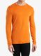 Bluza de corp Icebreaker 260 Tech L/S Crewe - earth