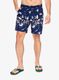 Pantaloni scurti Kavu Costa Short - crane crew