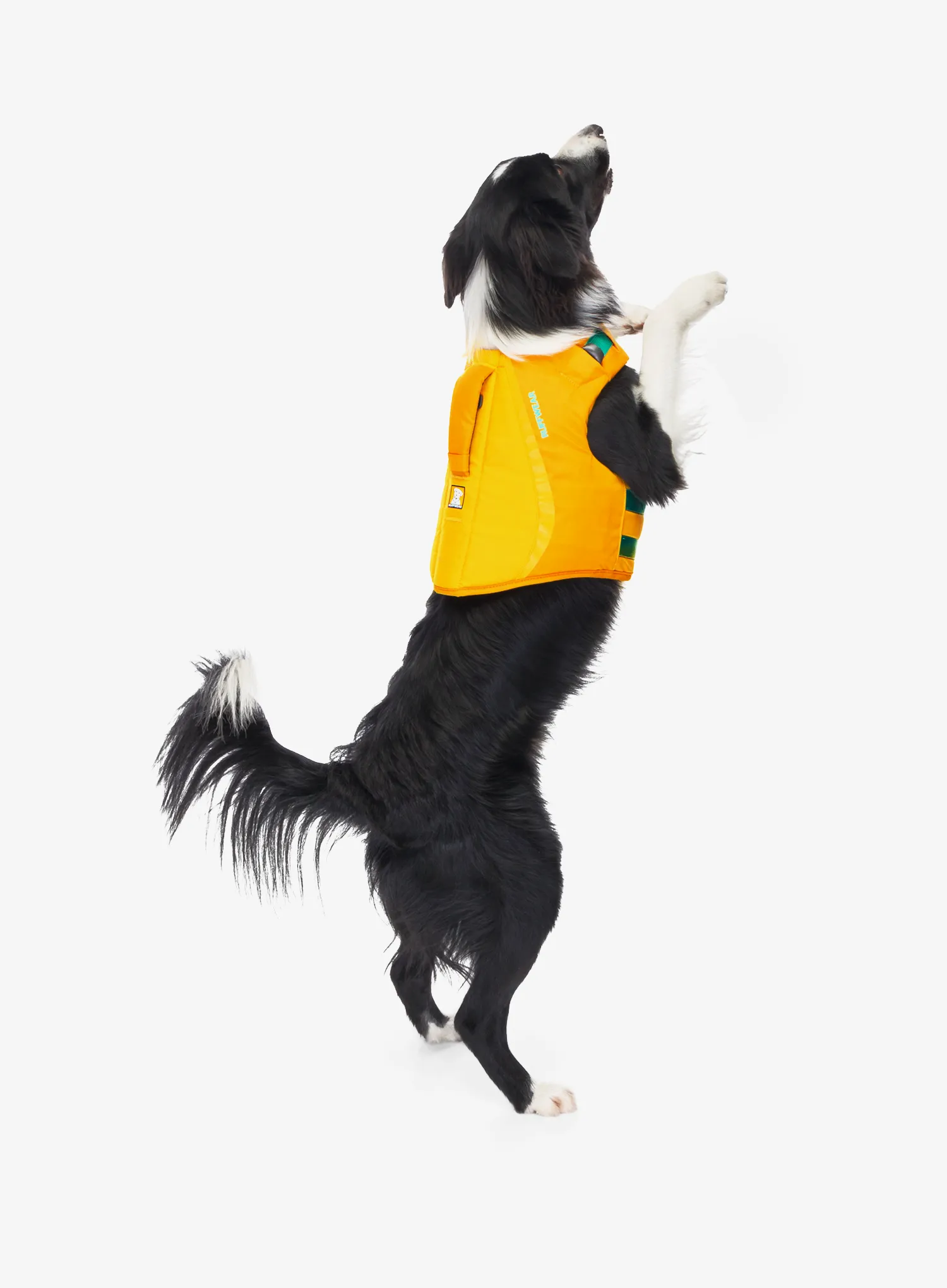 Vestă de salvare pentru câine Ruffwear Float Coat - wave orange