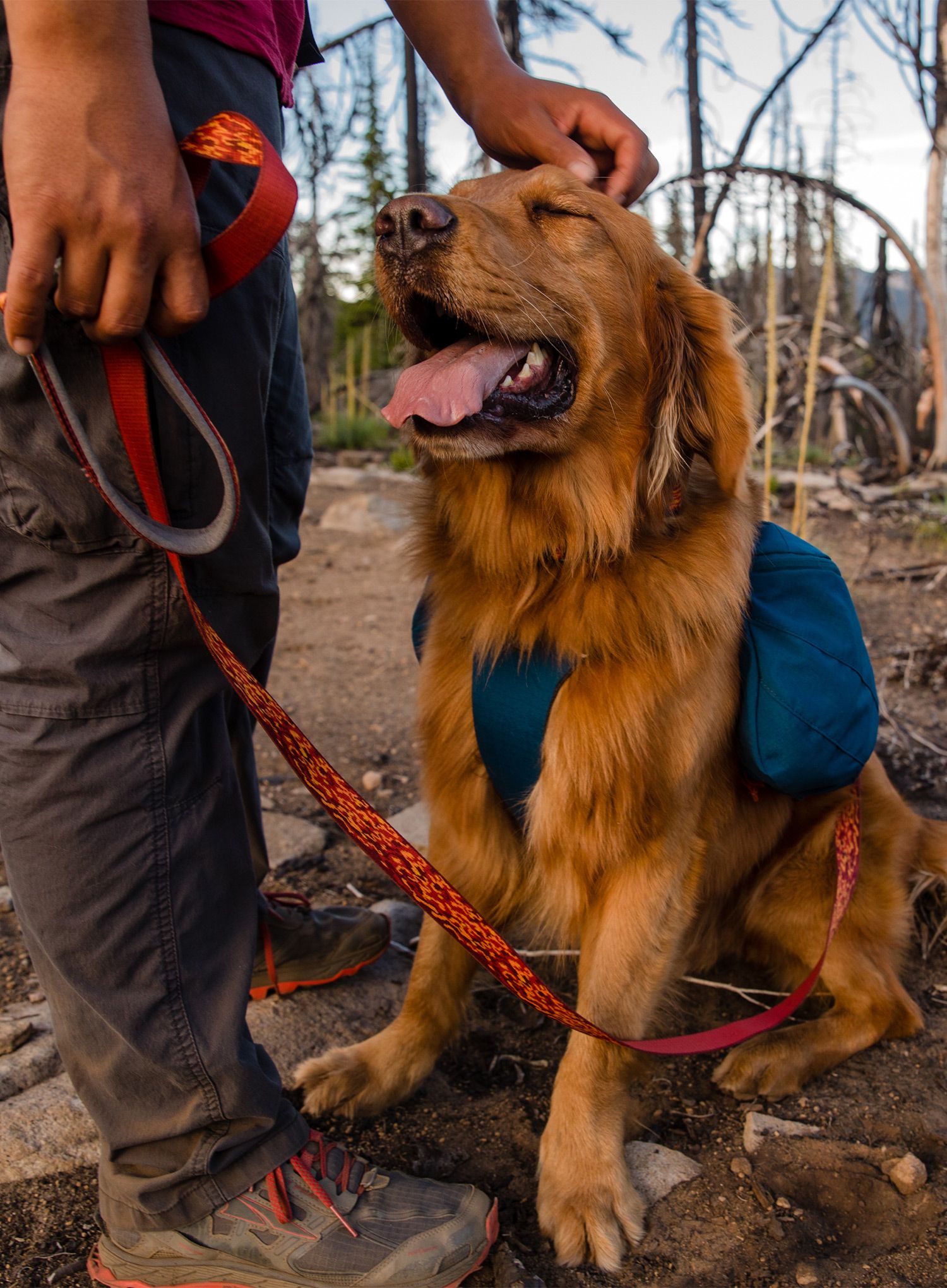 Rucsac pentru câine Ruffwear Front Range Day Pack - blue moon