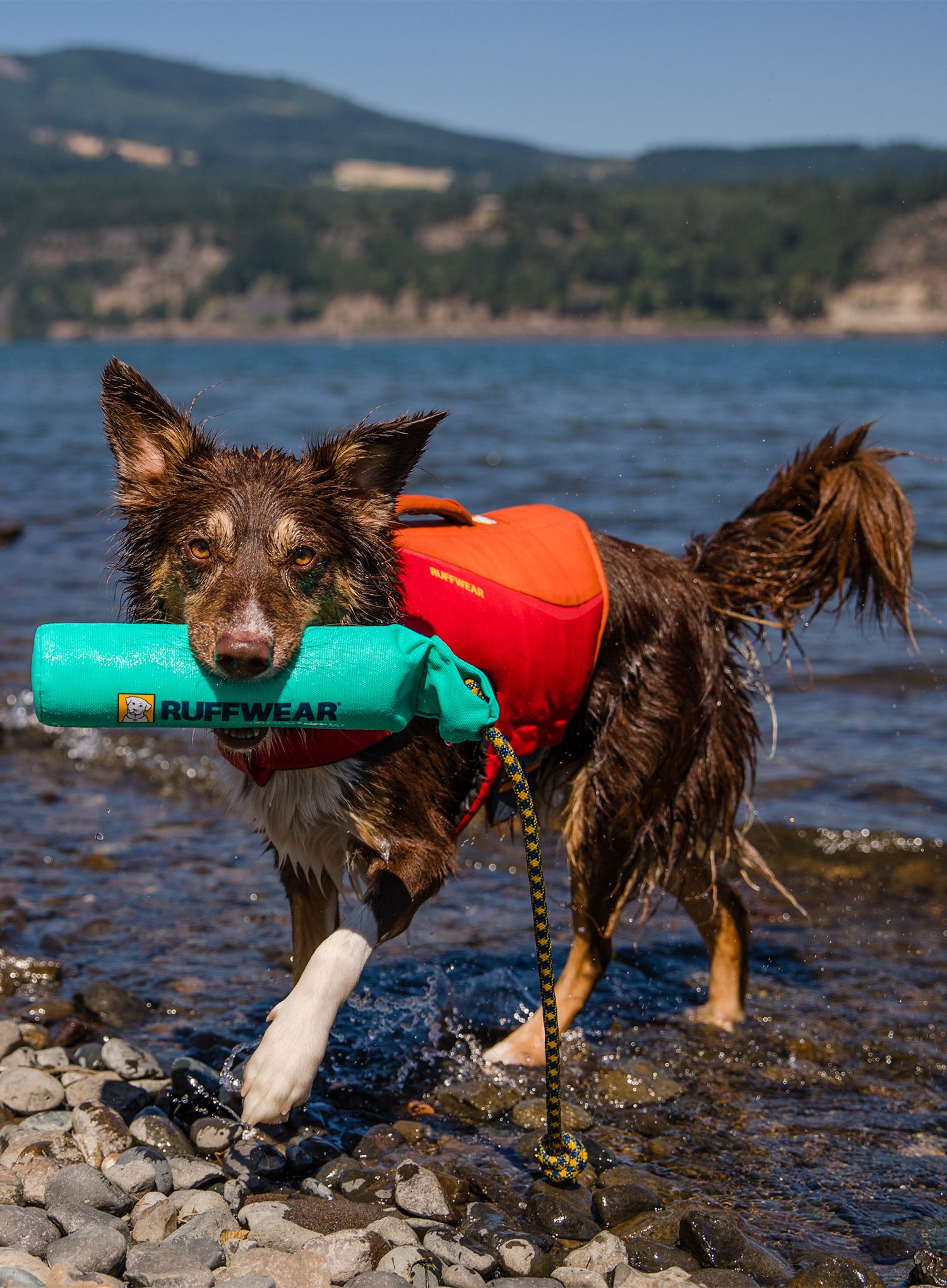 Jucărie pentru câini Ruffwear Lunker - aurora teal