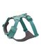 Ham pentru câini Ruffwear Front Range Harness XS - river rock green