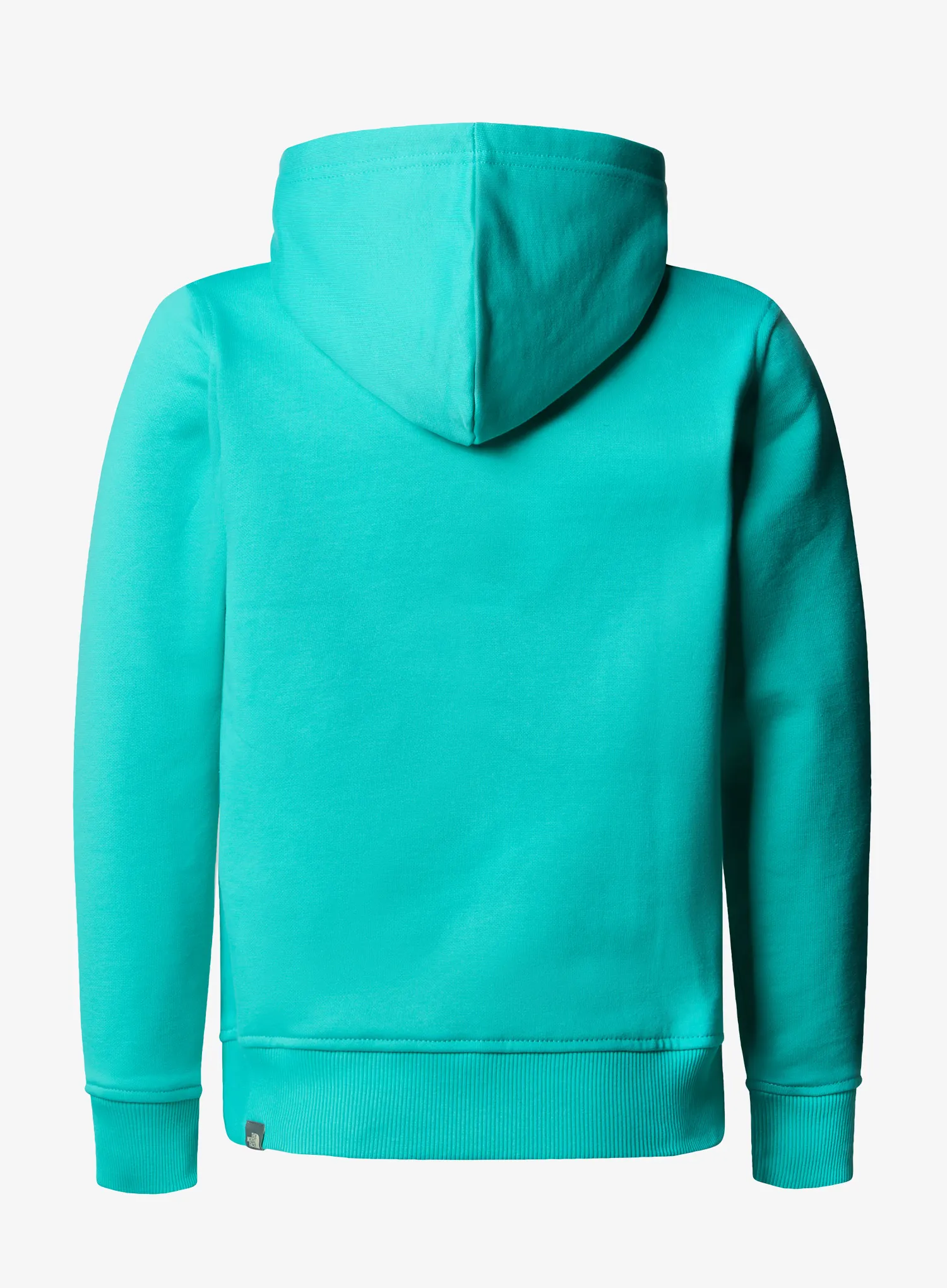 Hanorac pentru băieți The North Face Drew Peak P/O Hoodie - geyser aqua