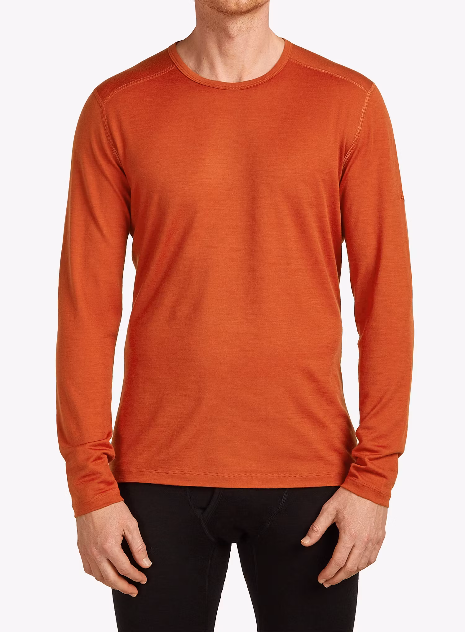 qweIcebreaker200OasisLSCrewe_agate198265225273a.webp