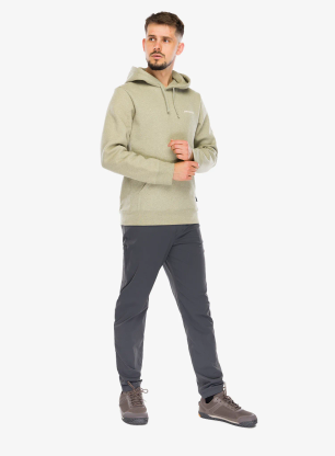 Hanorac cu gluga Patagonia Boardshort Logo Uprisal Hoody - gumtree green