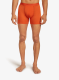 Boxeri Icebreaker Anatomica Boxers - fervid