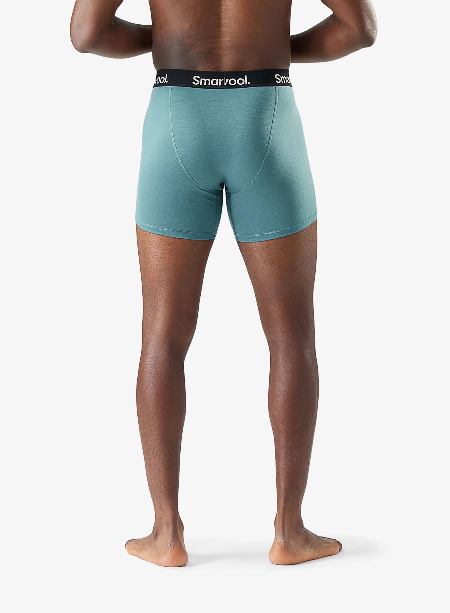 Boxeri Smartwool Everyday Merino Boxer Brief Boxed - dusty teal