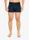 SupernaturalTundra175Boxer_blueberry7630162673144a.webp
