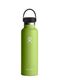 Sticla termică Hydro Flask 21 Oz Standard Flex Cap - seagrass