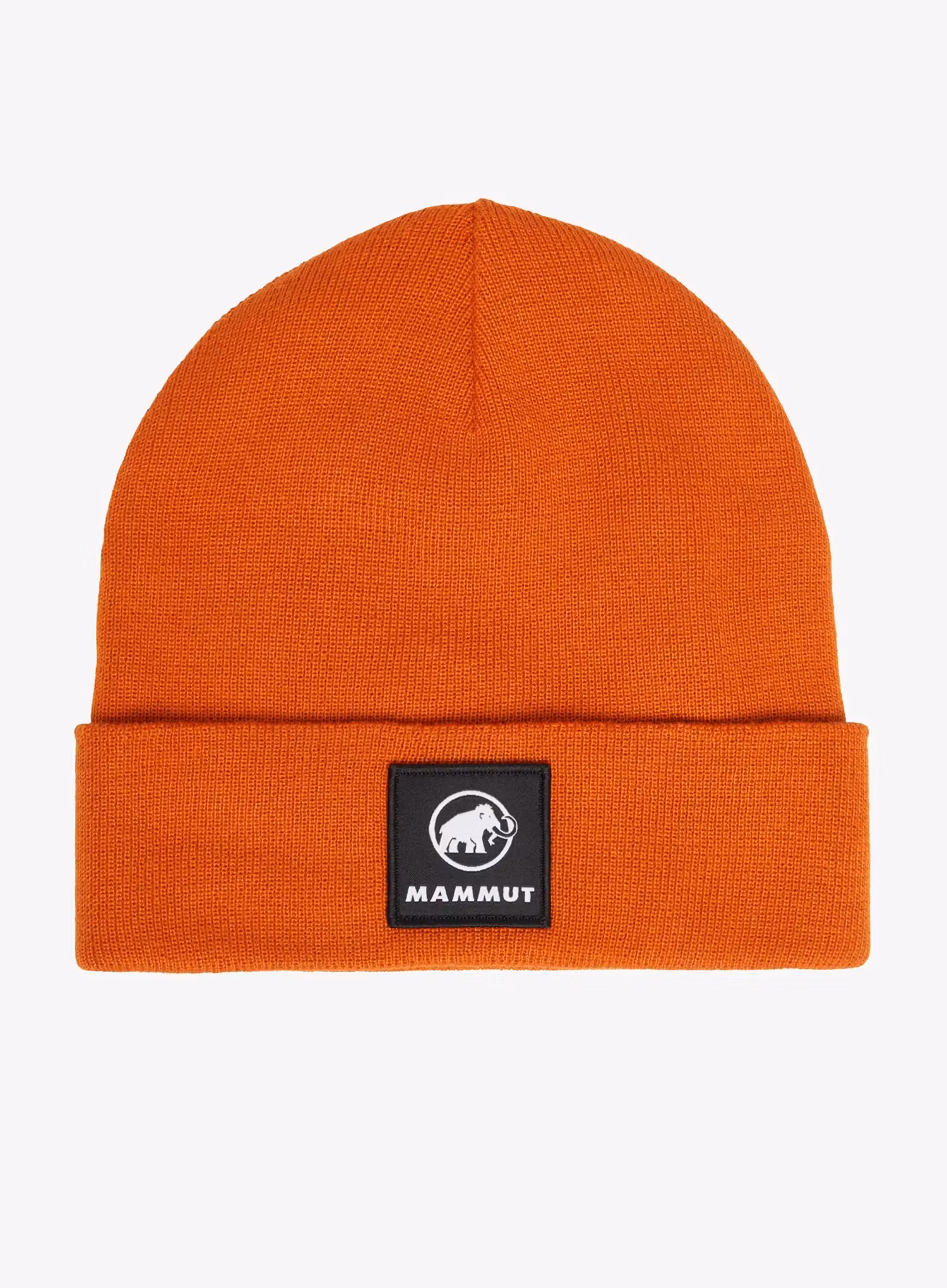 MammutFedozBeanie_autumnlarice_fw26_7628352173611_129.webp