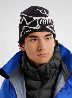 Căciulă de iarna Arcteryx Bird Head Toque - orca