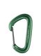 Carabiniera escalada Black Diamond LiteWire - green