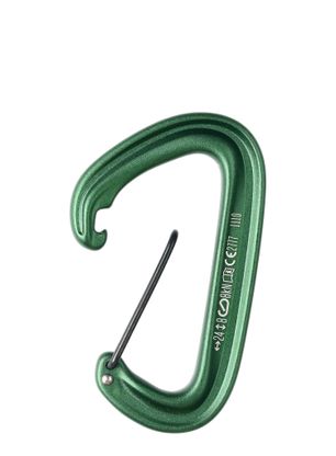 Carabiniera escalada Black Diamond LiteWire - green