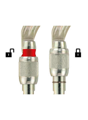 Carabiniera Petzl Vulcan Screw-Lock