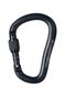 Carabiniera escalada Black Diamond RockLock Screwgate - black