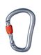 Carabiniera escalada Black Diamond RockLock Screwgate - gray