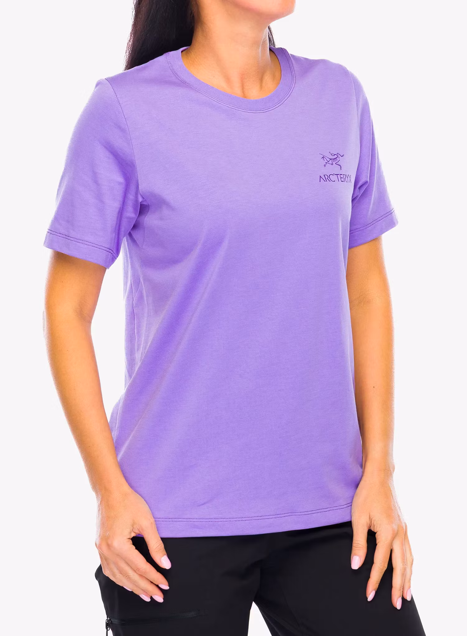 ArcteryxKraggSLCottonEmblemCrewSS_aster623555688686a.webp
