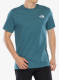 TheNorthFaceSSRedboxCelebrationTee_spac197804303618a.webp