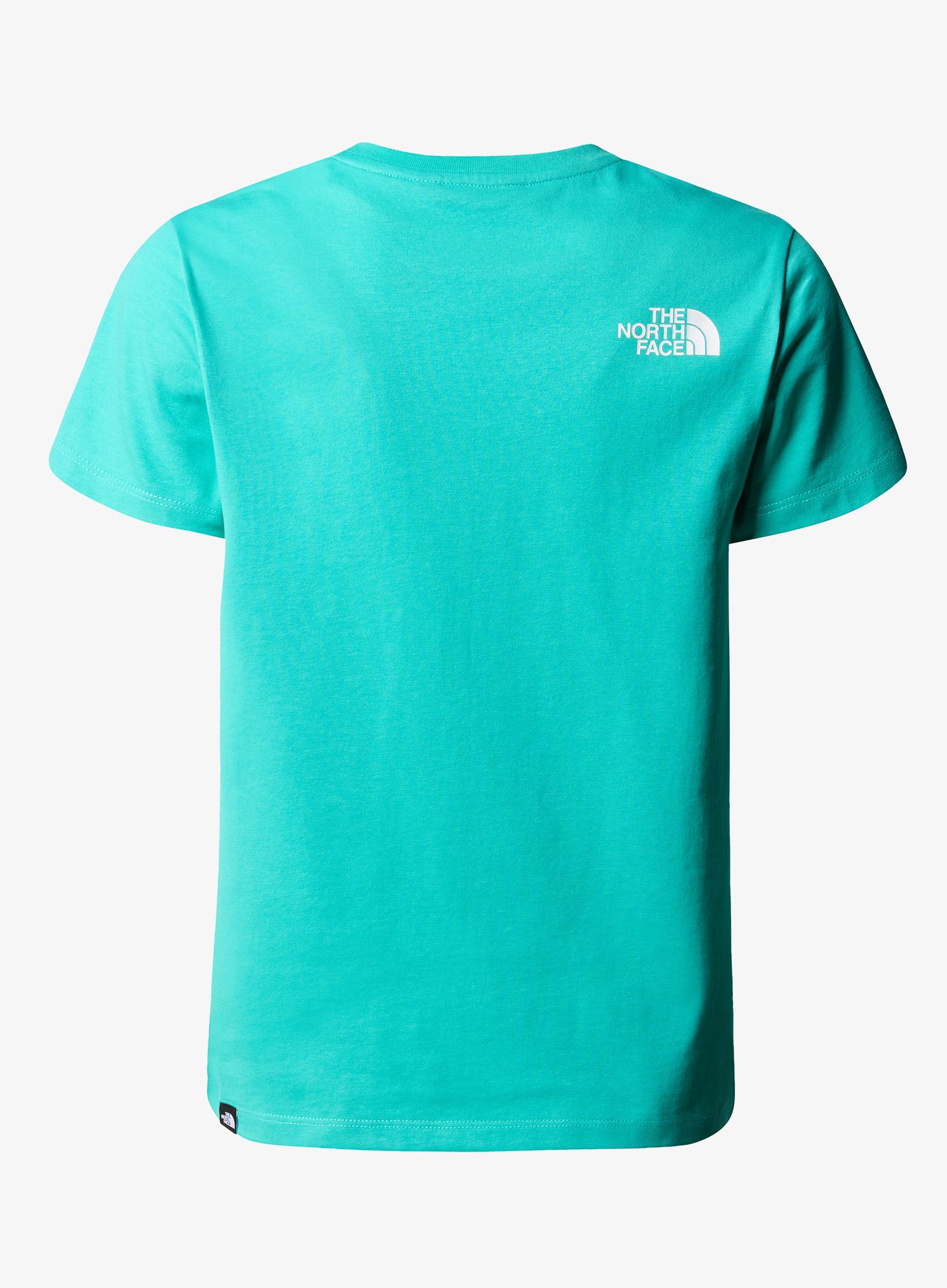 Tricou pentru băieti The North Face S/S Easy Tee - geyser aqua