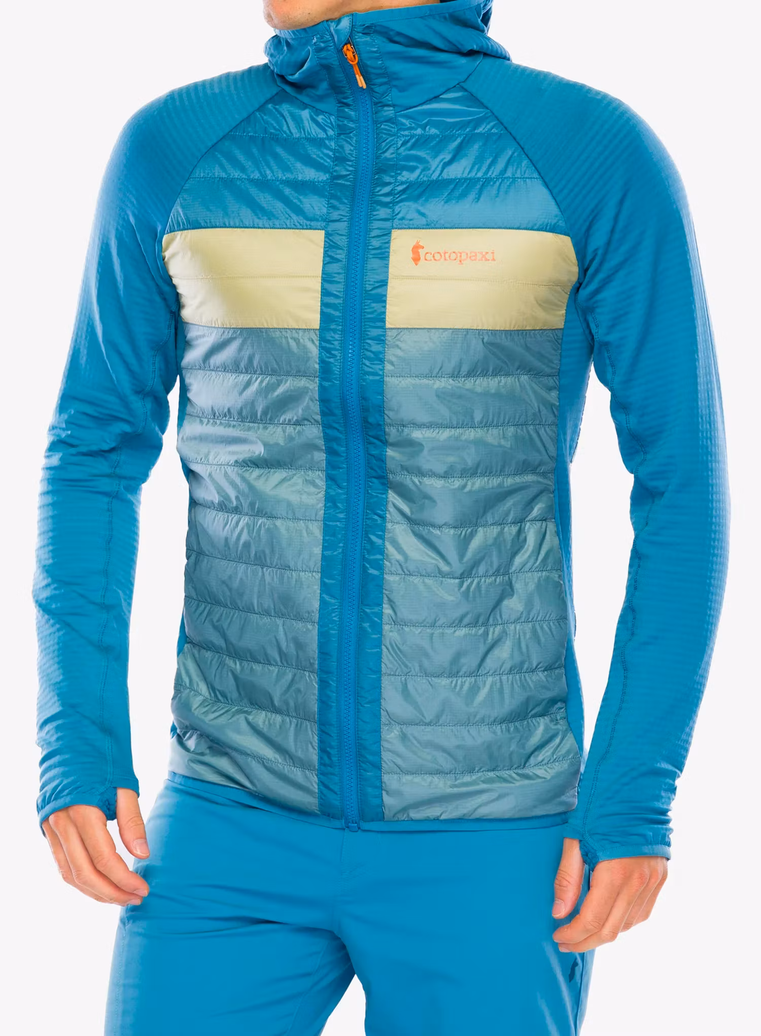 CotopaxiCapaHybridInsulatedHoodedJacket_drizzlebluegras_196928162170a.webp