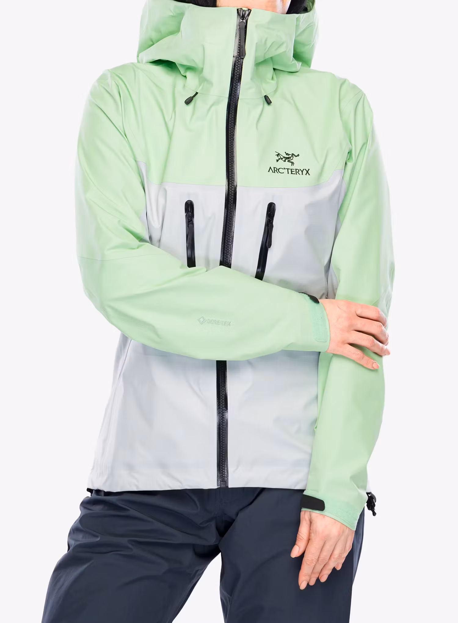 ArcteryxAlphaJacket_phosphorescentsolitude_623555634348a.webp