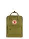 FjallravenKanken_foliagegreen_7323450752804a.jpg
