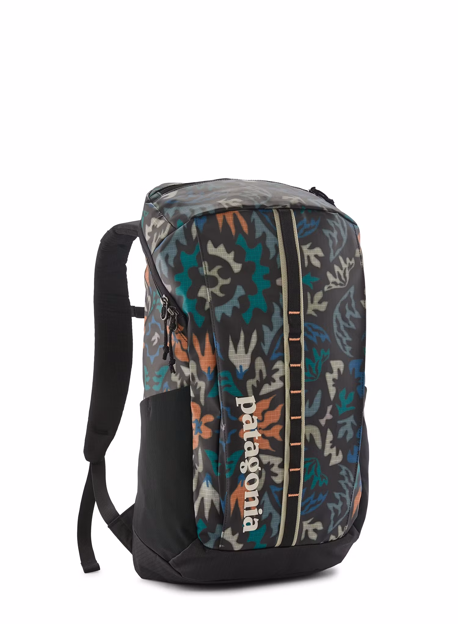 PatagoniaBlackHolePack25L_kaleidoblack_694.webp