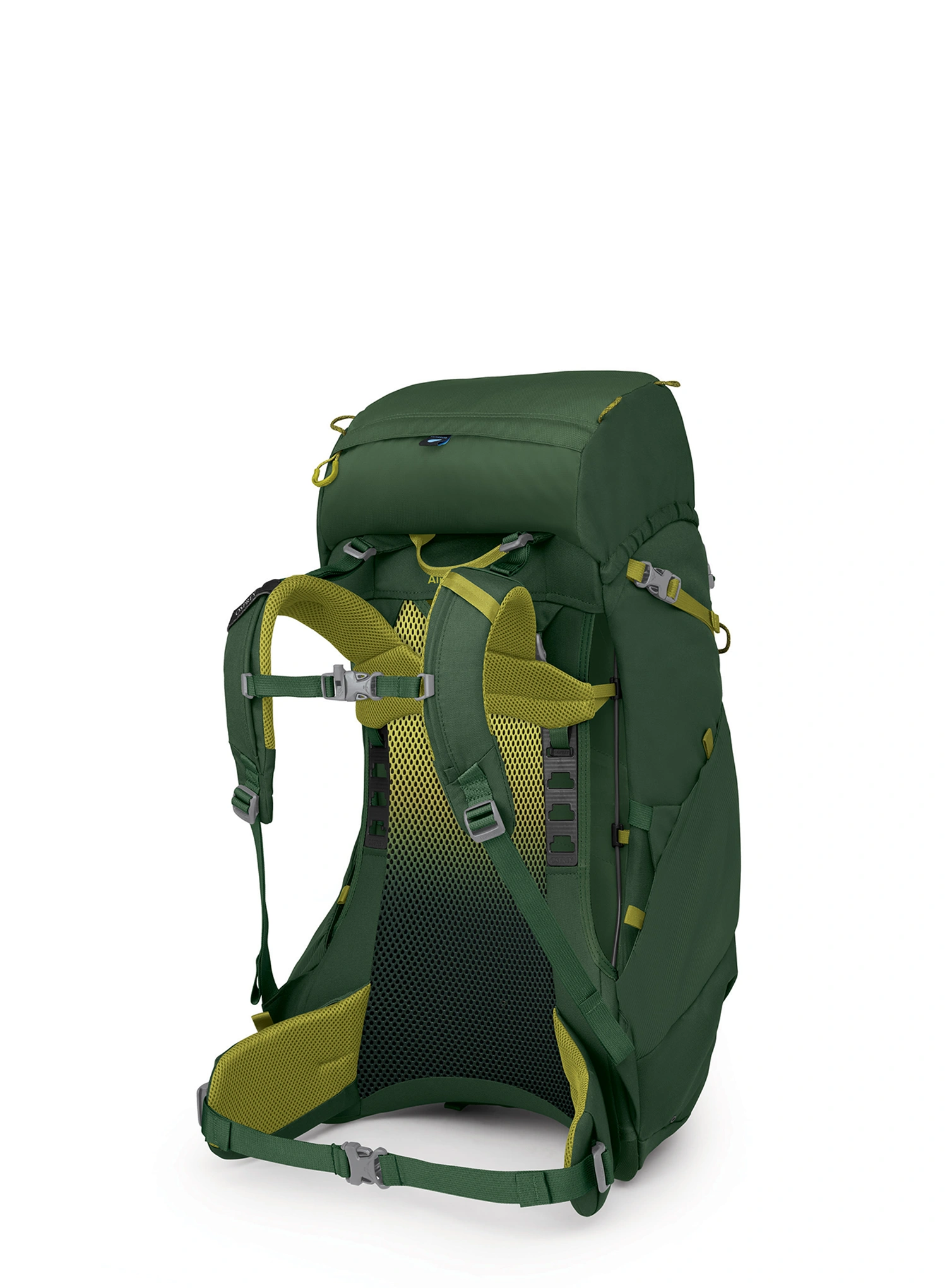 Rucsac drumetie copii Osprey Ace 38 - green canopy