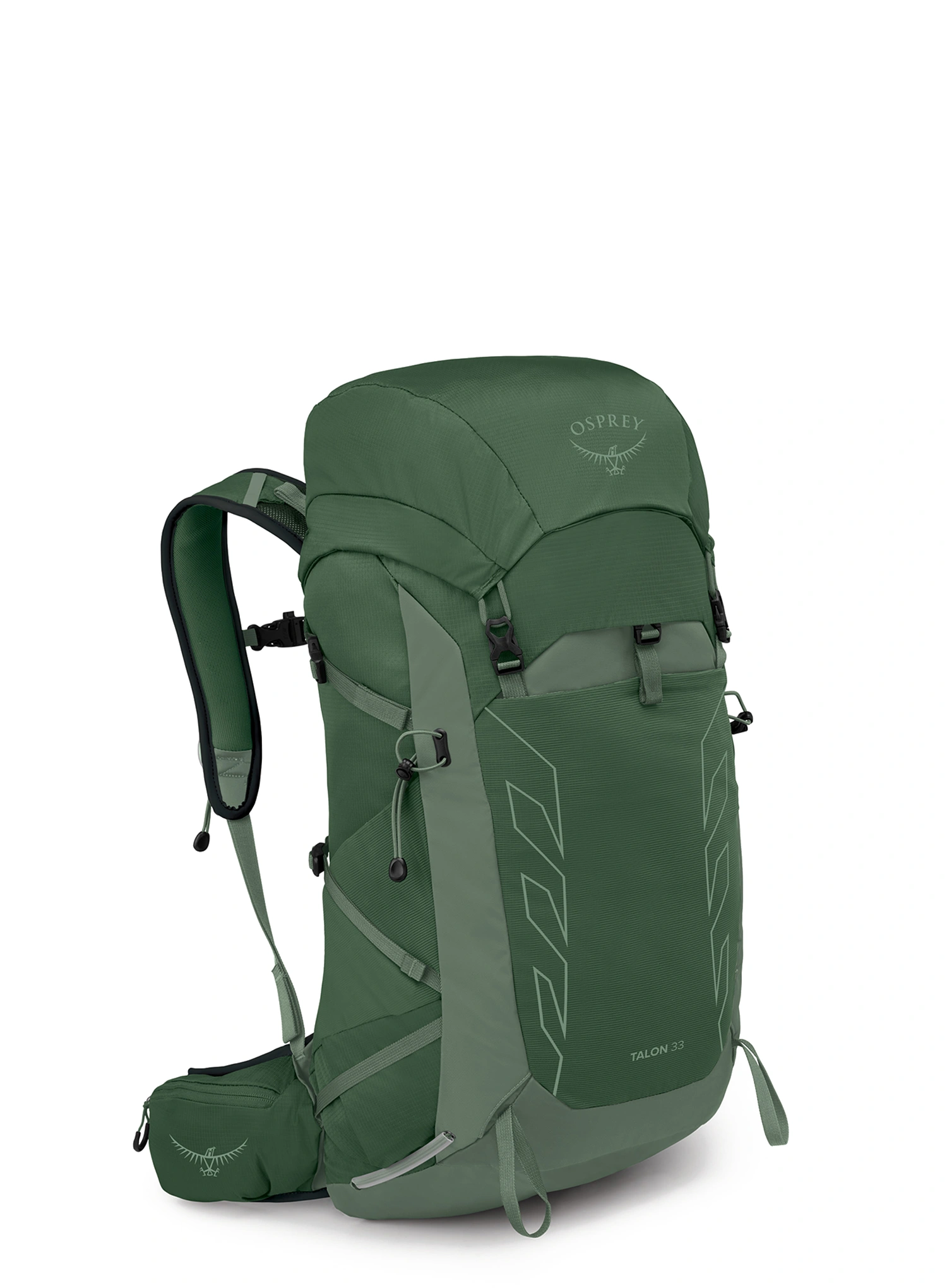 Rucsac drumetie Osprey Talon 33 - green canopy pine leaf