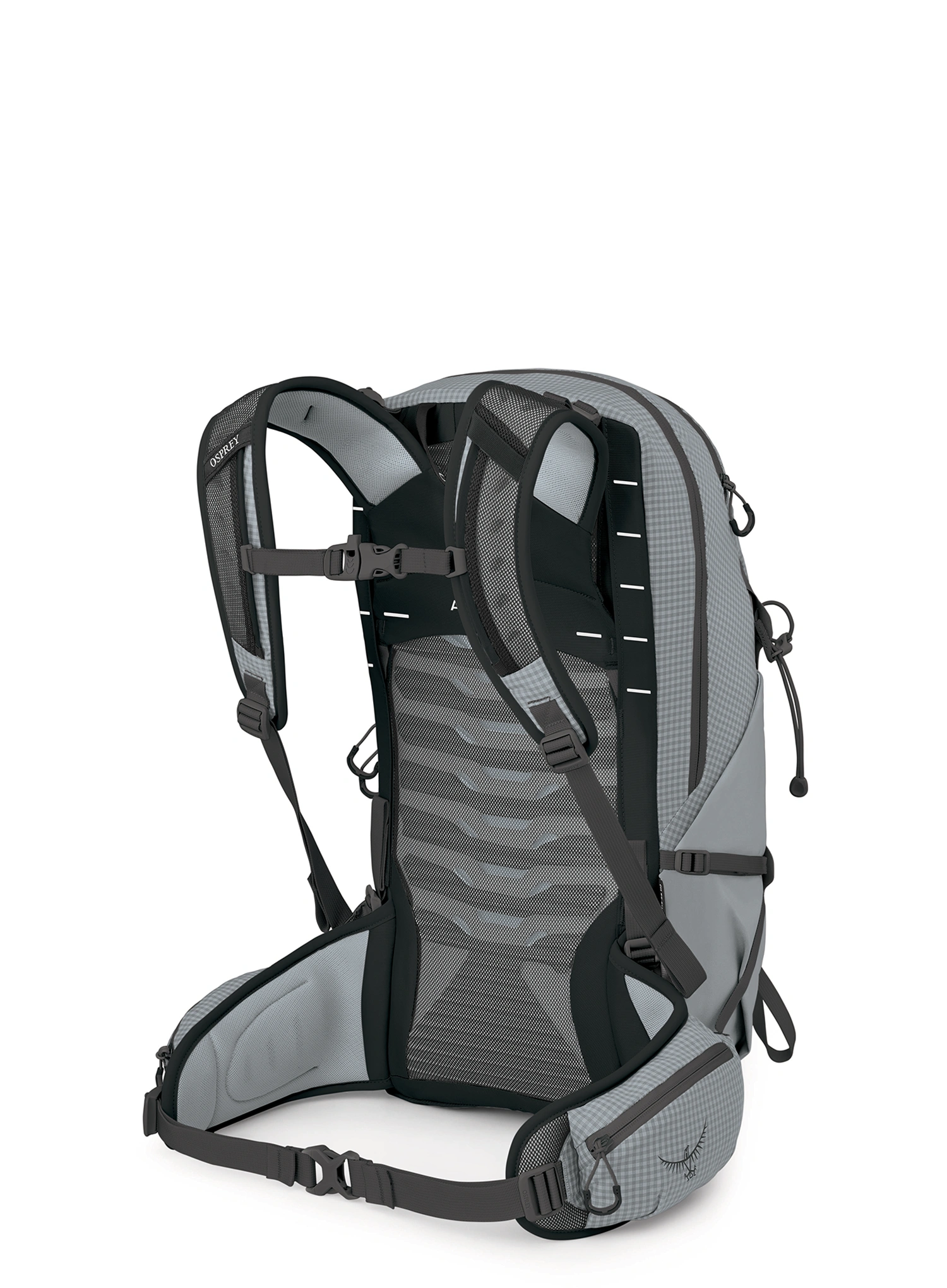 Rucsac drumetie Osprey Talon Pro 20 - silver lining