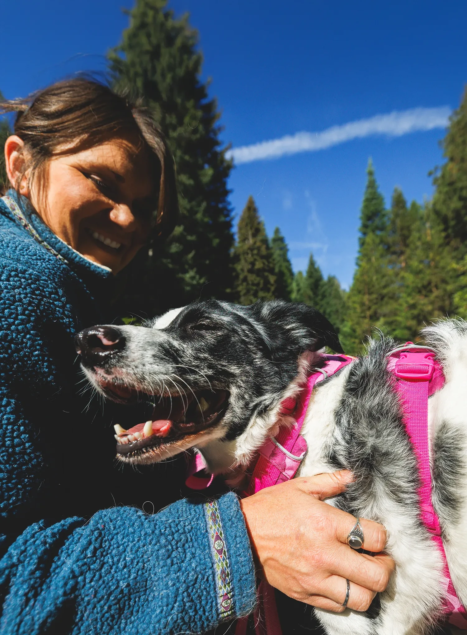 Ham pentru câini Ruffwear Front Range Harness XXS - pink mountains