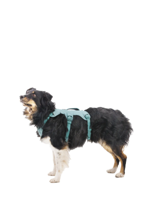 Ham pentru câini Ruffwear Web Master Harness - river rock green
