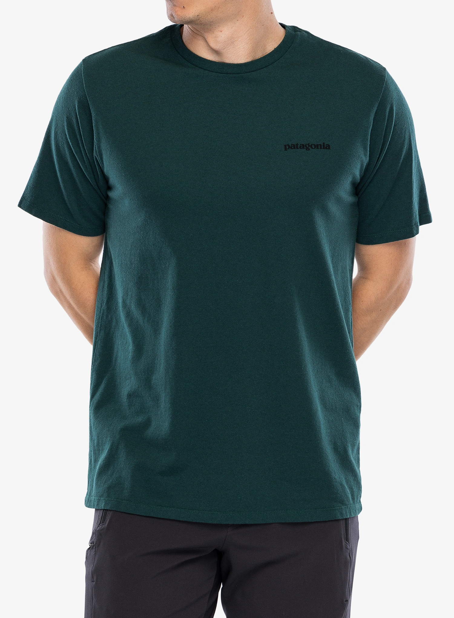 PatagoniaP_6LogoResponsibili_Tee_cascadegreen198077426325a.webp