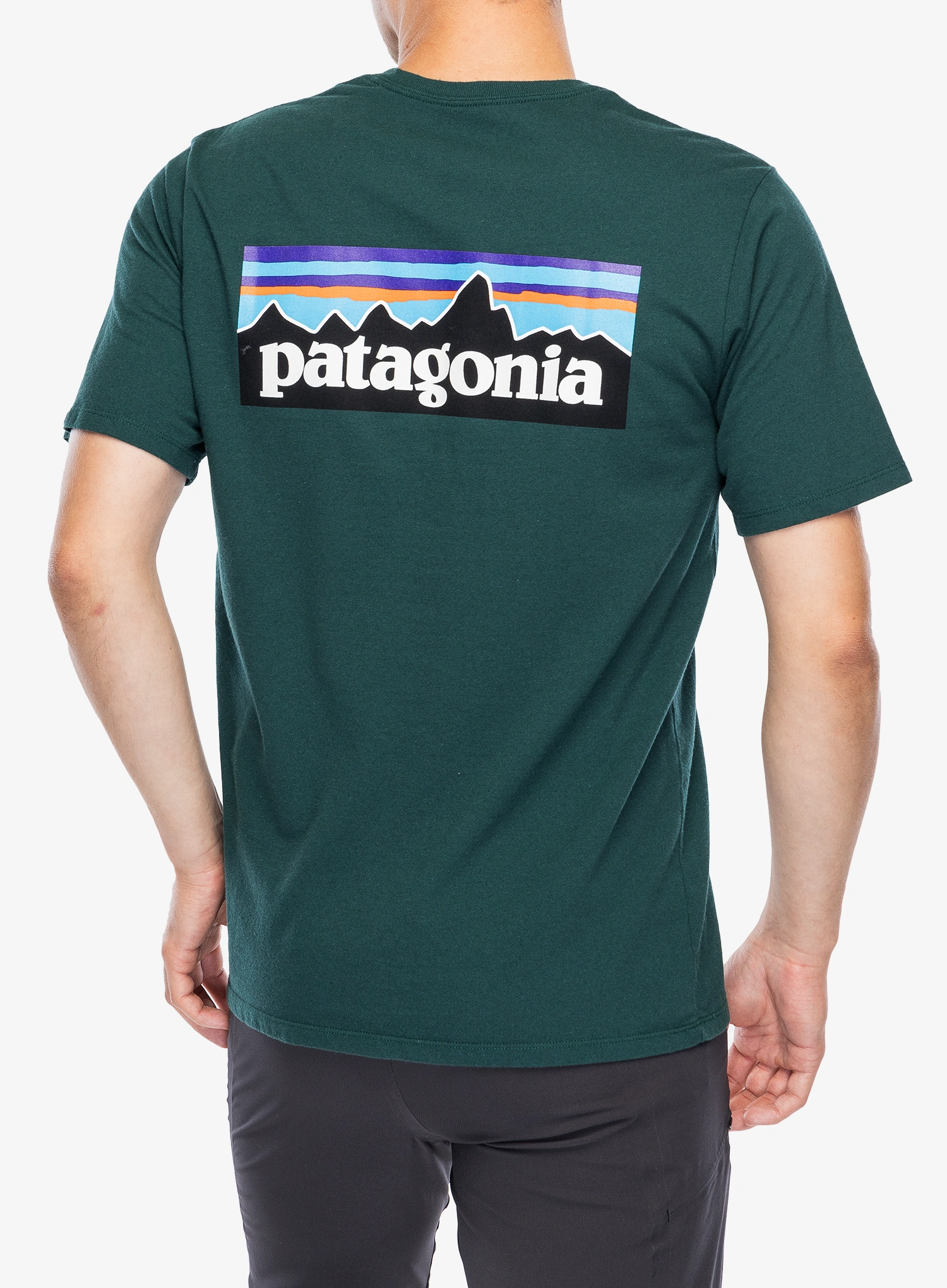T-shirt Patagonia P-6 Logo Responsibili-Tee - cascade green