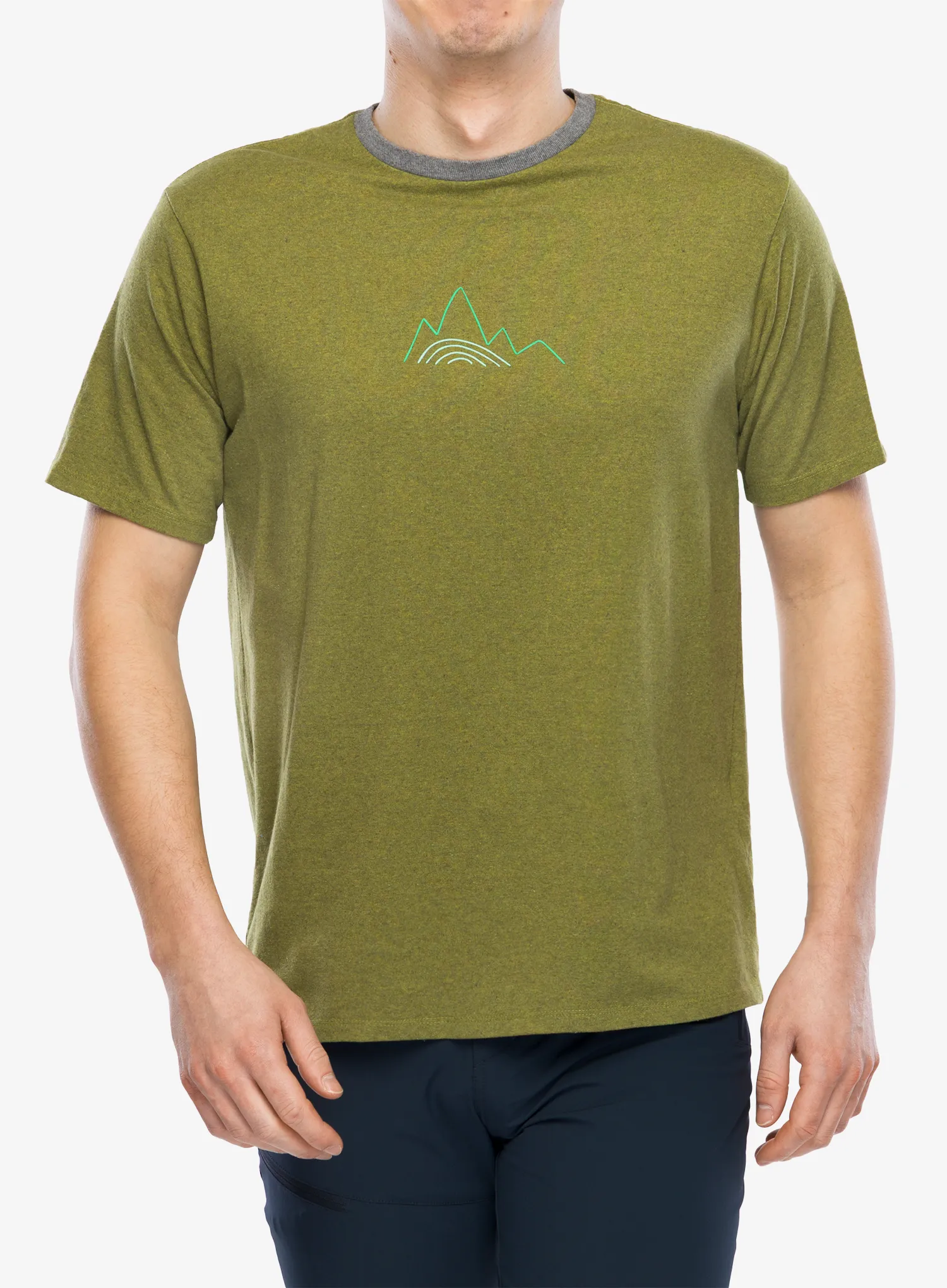 PatagoniaBermLogoResponsibili_Tee_grazegreen_196924935648b.webp